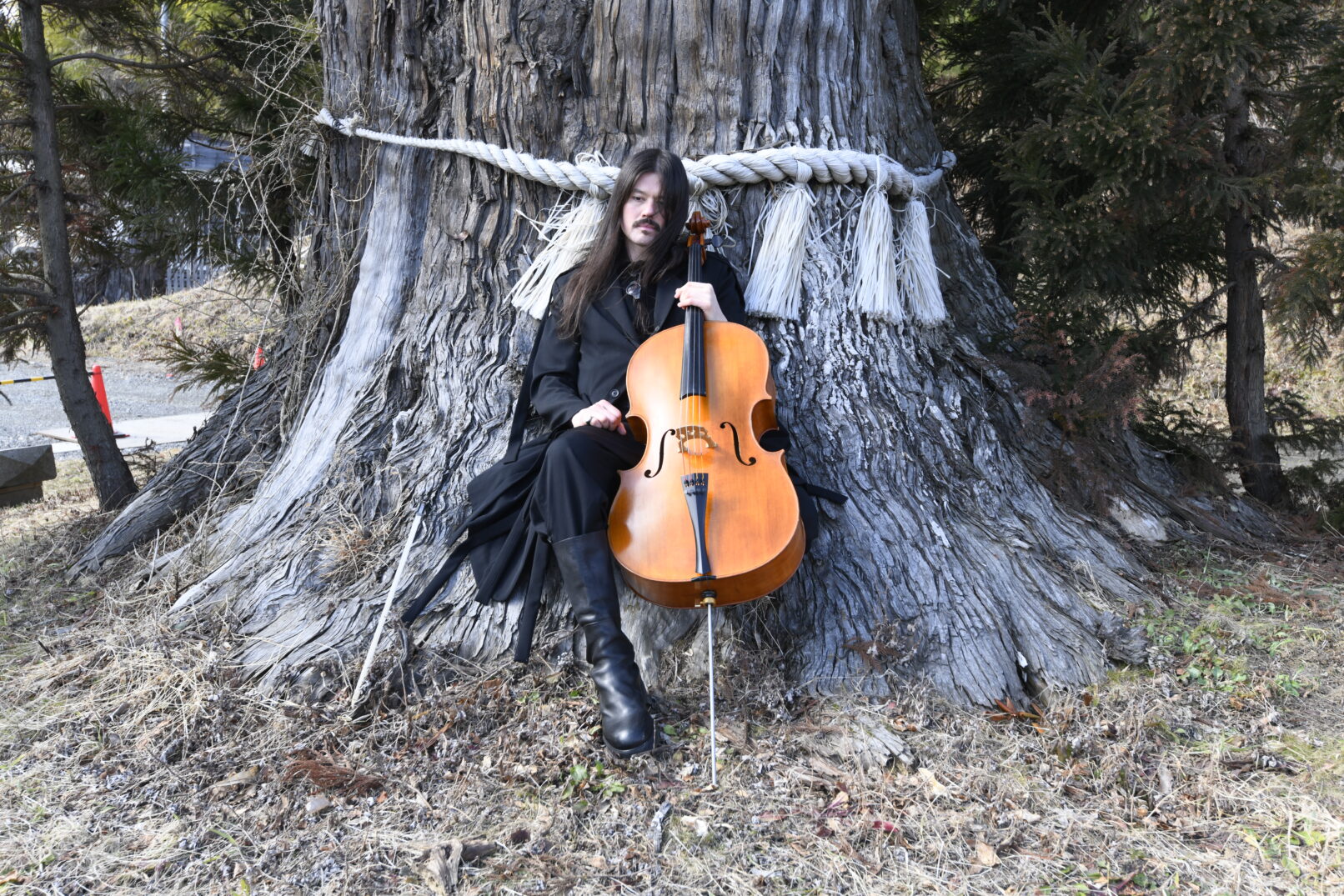 Benjamin Skepper with cello at a Shinto sacred tree, Japan