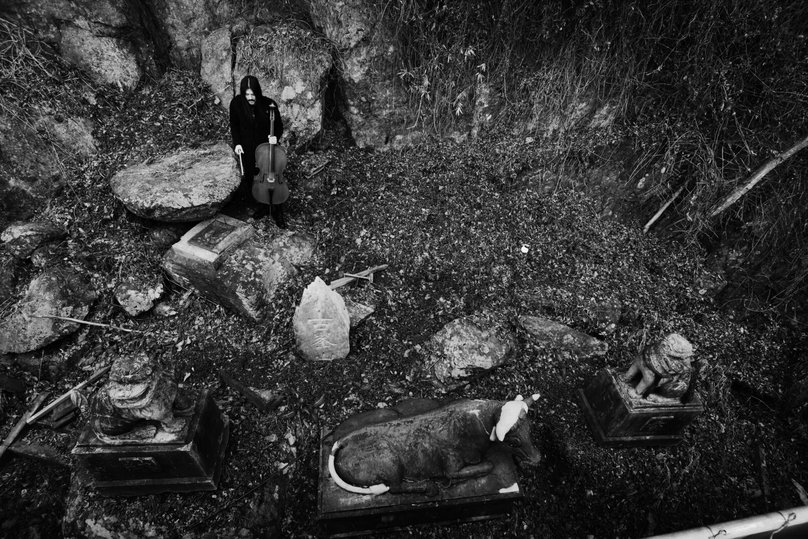 Benjamin Skepper with cello among stone shrine guardians, seen from above